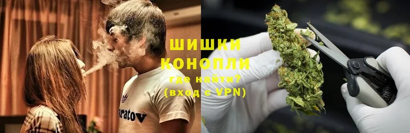 Бошки марихуана Bruce Banner  мориарти как зайти  Фрязино  магазин продажи наркотиков 